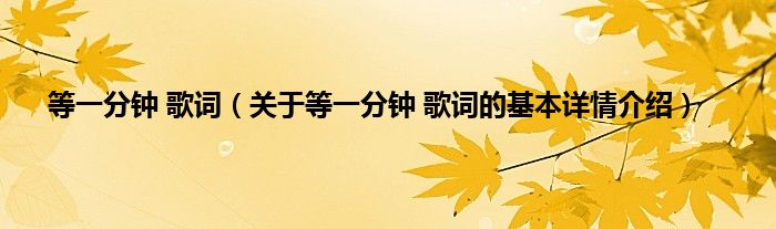 等一分钟 歌词（关于等一分钟 歌词的基本详情介绍）