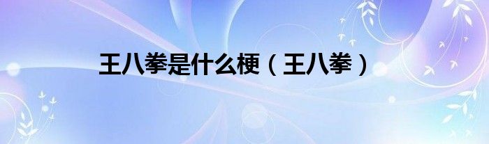 王八拳是什么梗（王八拳）