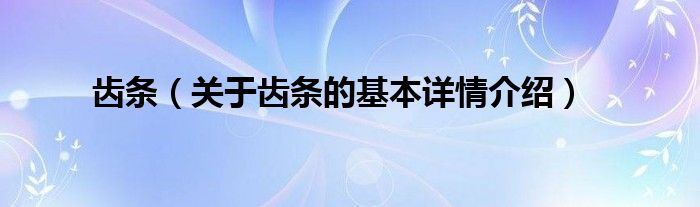 齿条（关于齿条的基本详情介绍）