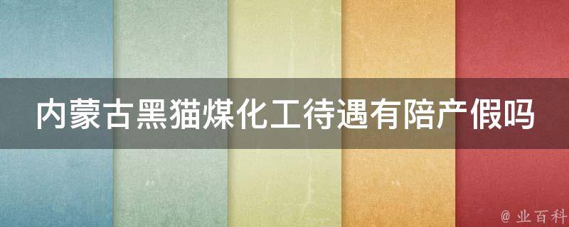 内蒙古黑猫煤化工待遇有陪产假吗