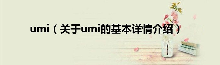 umi（关于umi的基本详情介绍）