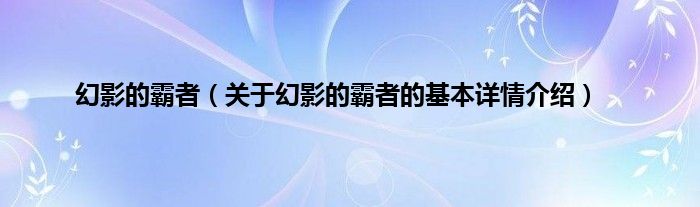 幻影的霸者（关于幻影的霸者的基本详情介绍）