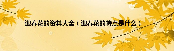 迎春花的资料大全（迎春花的特点是什么）