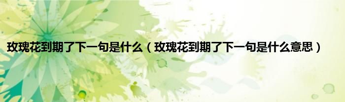 玫瑰花到期了下一句是什么（玫瑰花到期了下一句是什么意思）