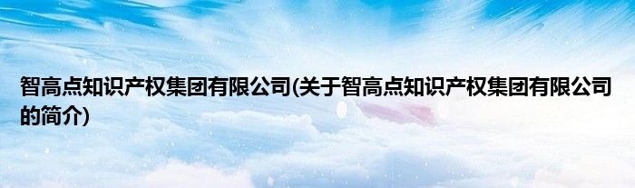 智高点知识产权集团有限公司(关于智高点知识产权集团有限公司的简介)