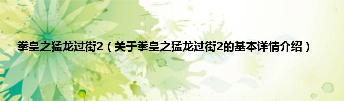 拳皇之猛龙过街2（关于拳皇之猛龙过街2的基本详情介绍）