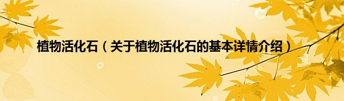 植物活化石（关于植物活化石的基本详情介绍）