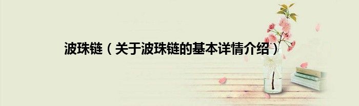 波珠链（关于波珠链的基本详情介绍）