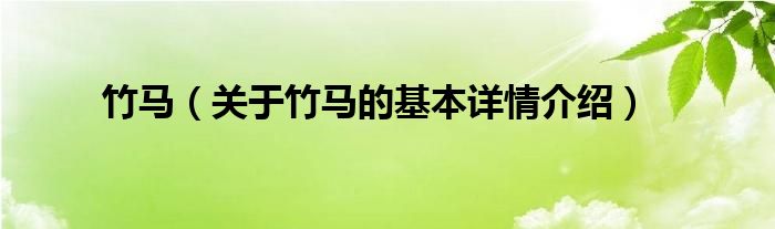 竹马(关于竹马的基本详情介绍)