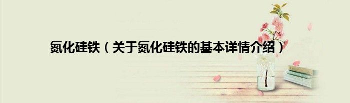 氮化硅铁(关于氮化硅铁的基本详情介绍)