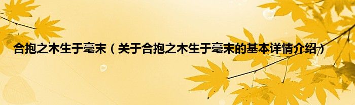 合抱之木生于毫末（关于合抱之木生于毫末的基本详情介绍）