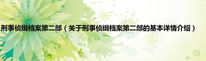 刑事侦缉档案第二部（关于刑事侦缉档案第二部的基本详情介绍）