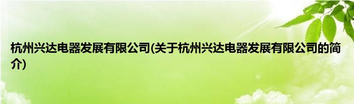 杭州兴达电器发展有限公司(关于杭州兴达电器发展有限公司的简介)