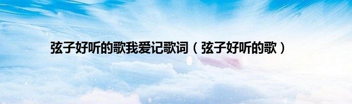 弦子好听的歌我爱记歌词（弦子好听的歌）