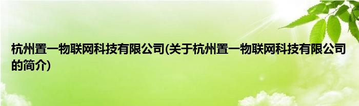杭州置一物联网科技有限公司(关于杭州置一物联网科技有限公司的简介)