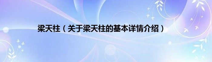 梁天柱（关于梁天柱的基本详情介绍）