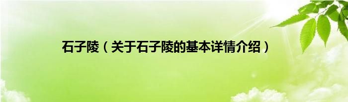 石子陵（关于石子陵的基本详情介绍）