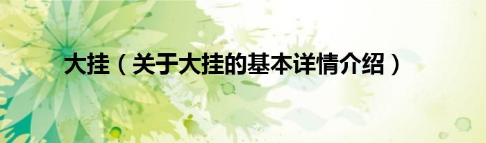 大挂（关于大挂的基本详情介绍）