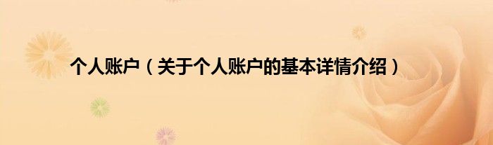 个人账户（关于个人账户的基本详情介绍）