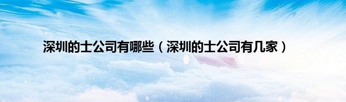 深圳的士公司有哪些(深圳的士公司有几家)