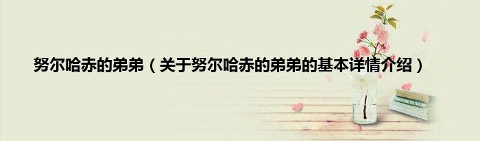 努尔哈赤的弟弟（关于努尔哈赤的弟弟的基本详情介绍）